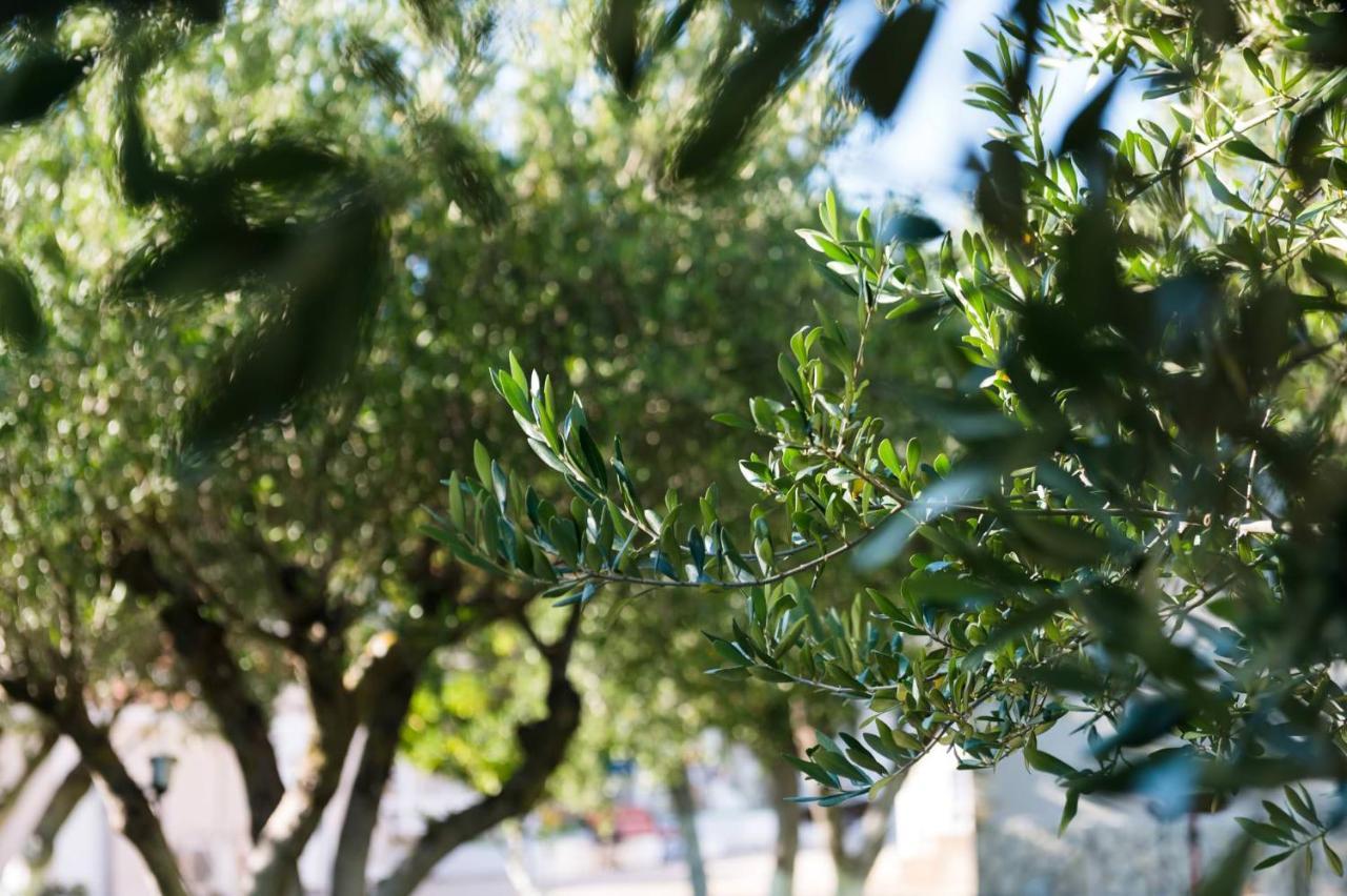 ספרטיה Zoumpouli Village מראה חיצוני תמונה